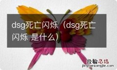 dsg死亡闪烁 是什么 dsg死亡闪烁