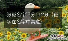 崧字在名字中寓意 张崧名字评分112分