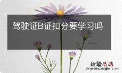 驾驶证B证扣分要学习吗