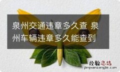 泉州交通违章多久查 泉州车辆违章多久能查到