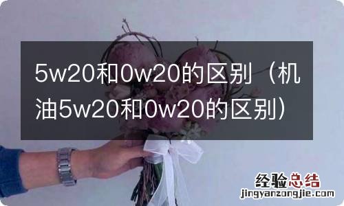 机油5w20和0w20的区别 5w20和0w20的区别