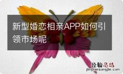 新型婚恋相亲APP如何引领市场呢