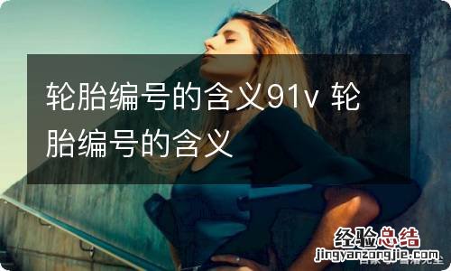 轮胎编号的含义91v 轮胎编号的含义