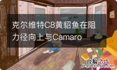 克尔维特C8黄貂鱼在阻力径向上与Camaro