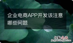 企业电商APP开发该注意哪些问题