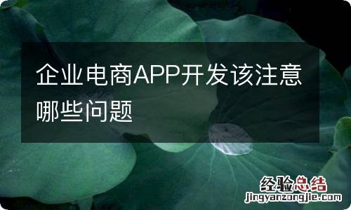 企业电商APP开发该注意哪些问题