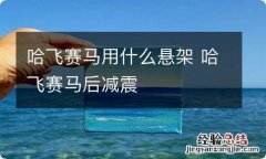 哈飞赛马用什么悬架 哈飞赛马后减震