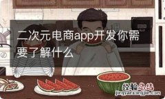 二次元电商app开发你需要了解什么