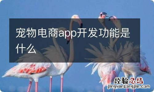 宠物电商app开发功能是什么