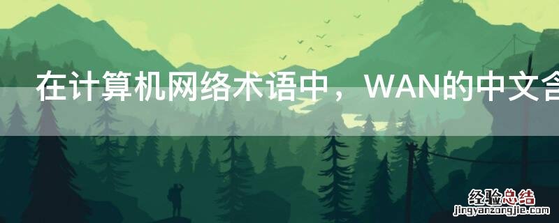 在计算机网络术语中，WAN的中文含义是