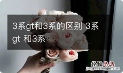 3系gt和3系的区别 3系gt 和3系