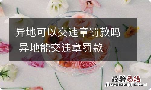 异地可以交违章罚款吗 异地能交违章罚款