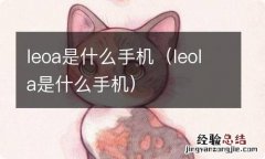 leola是什么手机 leoa是什么手机