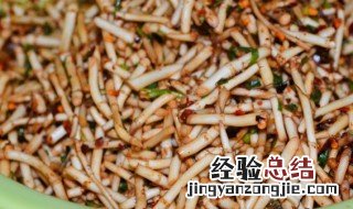 茅根和鱼腥草区别 茅根和鱼腥草是同一种东西吗