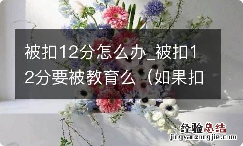 如果扣12分怎么处理 被扣12分怎么办_被扣12分要被教育么