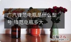 广汽锋范电瓶是什么型号 锋范电瓶多大