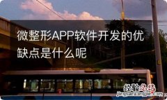 微整形APP软件开发的优缺点是什么呢