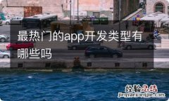 最热门的app开发类型有哪些吗