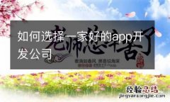 如何选择一家好的app开发公司