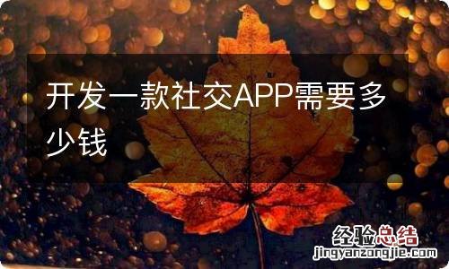 开发一款社交APP需要多少钱