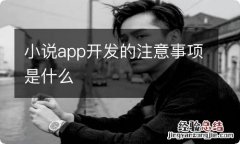 小说app开发的注意事项是什么