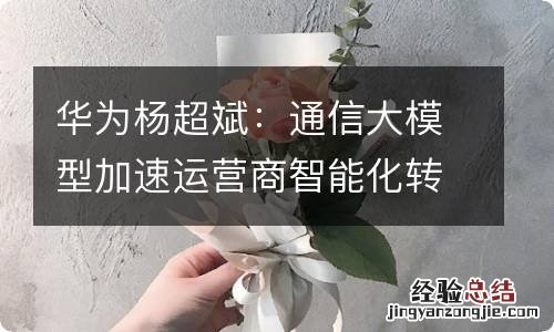 华为杨超斌：通信大模型加速运营商智能化转型