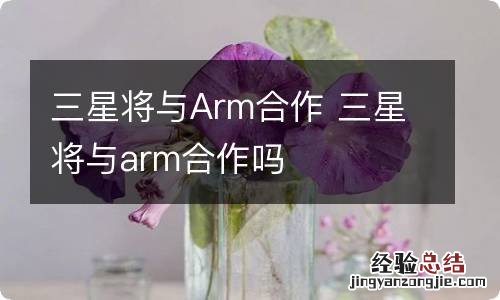 三星将与Arm合作 三星将与arm合作吗