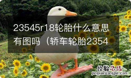 轿车轮胎23545R18是什么意思? 23545r18轮胎什么意思有图吗