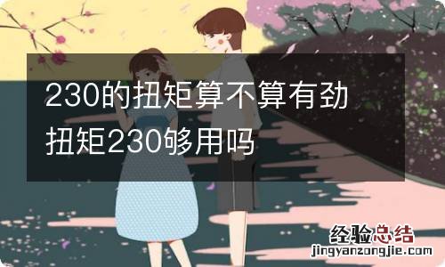 230的扭矩算不算有劲 扭矩230够用吗