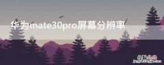 华为mate30pro屏幕分辨率调低有影响吗 华为mate30pro屏幕分辨率