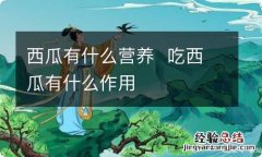 西瓜有什么营养吃西瓜有什么作用