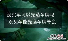 没买车可以先选车牌吗 没买车能先选车牌号么