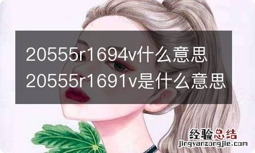 20555r1694v什么意思 20555r1691v是什么意思