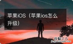 苹果ios怎么升级 苹果iOS