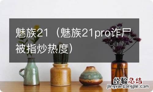 魅族21pro诈尸被指炒热度 魅族21