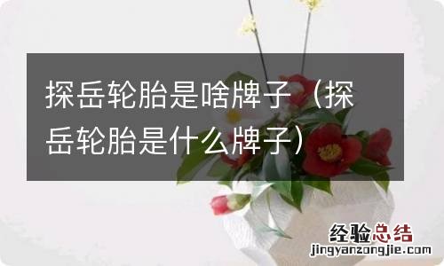 探岳轮胎是什么牌子 探岳轮胎是啥牌子