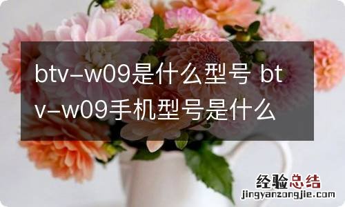 btv-w09是什么型号 btv-w09手机型号是什么