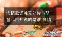 含情欲语独无处传与琵琶心自知说的是谁 含情欲语独无处传与琵琶心自知写的什么人