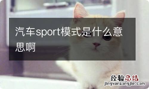 汽车sport模式是什么意思啊