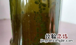 橄榄油有沉淀物能吃吗有害吗 橄榄油有沉淀物能吃吗