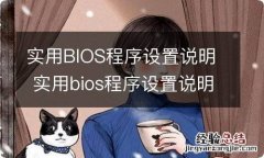 实用BIOS程序设置说明 实用bios程序设置说明书