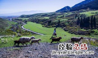 纯纯牛马是骂人的吗 纯纯牛马啥意思