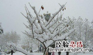 第一次见雪发朋友圈 第一次见雪在朋友圈说什么