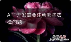 APP开发需要注意哪些法律问题