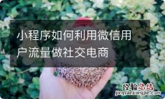 小程序如何利用微信用户流量做社交电商