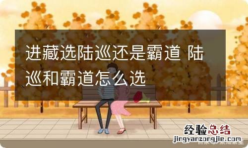 进藏选陆巡还是霸道 陆巡和霸道怎么选