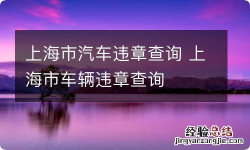 上海市汽车违章查询 上海市车辆违章查询