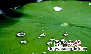 梅雨季节家里很潮湿怎么办 梅雨季节家里潮湿怎么办