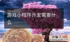 游戏小程序开发需要什么