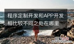 程序定制开发和APP开发相比较不同之处在哪里